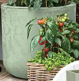 Dehner Kunststoff-Topf Basalt Up Angebot