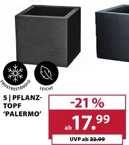 Dehner Pflanz- topf 'palermo Angebot
