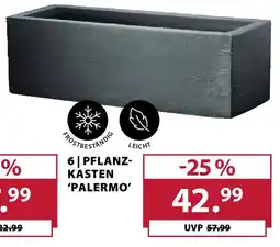 Dehner PFLANZ- KASTEN 'PALERMO Angebot