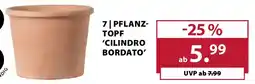 Dehner Pflanz- topf 'cilindro bordato Angebot