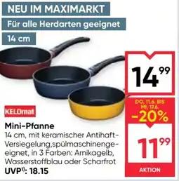 Maximarkt Mini-Pfanne Angebot