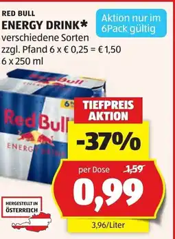 Hofer Red bull energy drink Angebot