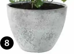 Dehner Pflanztopf Nova Angebot