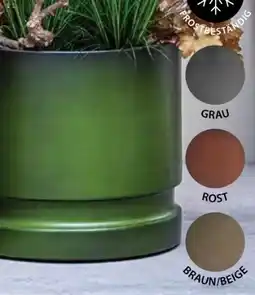 Dehner Pflanztopf Flora Angebot