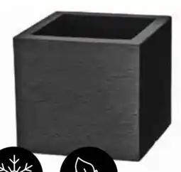 Dehner Dehner Marken Qualität Blumenkübel Palermo Angebot