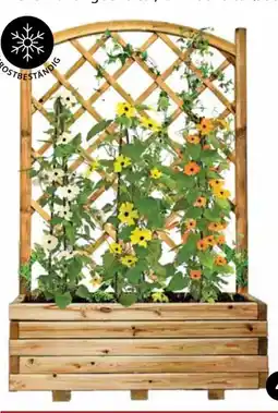 Dehner Dehner Holz-Blumenkasten Wachau Angebot