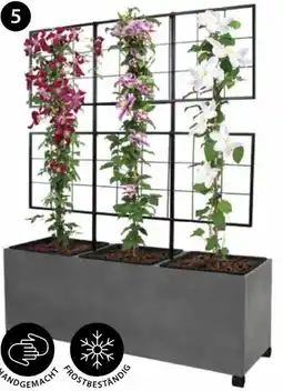Dehner Dehner Pflanzkasten Milano Angebot