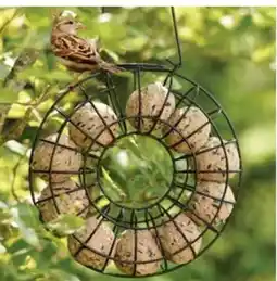 Dehner Dehner Natura Meisenknödel-Ring Angebot
