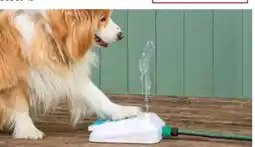 Dehner Dehner Lieblinge Hundespielzeug Wasserfontäne Sprinkler Angebot