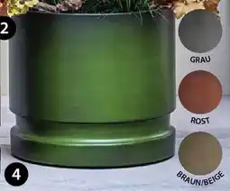 Dehner Pflanztopf 'flora Angebot