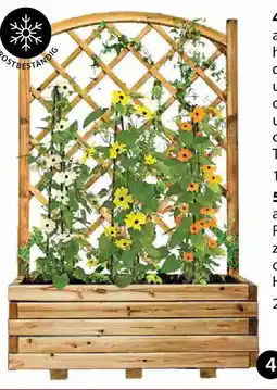 Dehner blumenkasten 'wachau Angebot