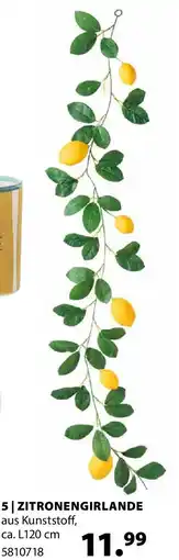 Dehner zitronengirlande Angebot