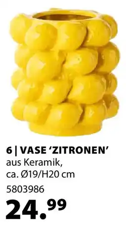 Dehner Vase 'zitronen Angebot