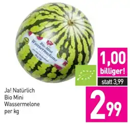 Sutterlüty Bio Mini Wassermelone Angebot