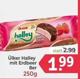 ETSAN Halley mit Erdbeer Angebot