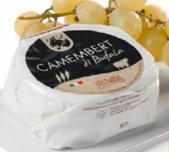 SPAR Gourmet Camembert Angebot