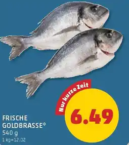 PENNY Frische goldbrasse Angebot