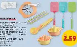 PENNY Fliegenklatsche Angebot