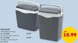 PENNY Kühlbox Angebot
