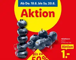 Lidl Heidelbeeren Angebot