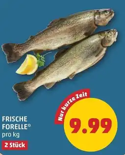 PENNY Frische forelle Angebot