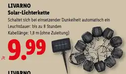 Lidl Livarno Solar-Lichterkette Angebot