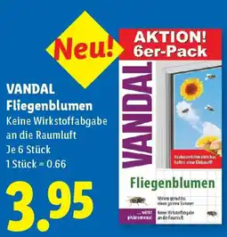 Lidl Vandal fliegenblumen Angebot