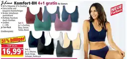 Norma Komfort-BH Angebot