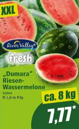 Norma Dumara Riesen- Wassermelone Angebot
