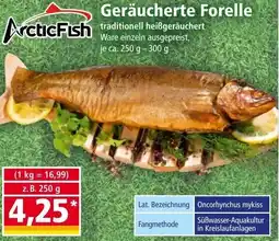 Norma Geräucherte Forelle Angebot