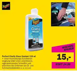Forstinger Perfect Clarity Glass Sealant Angebot