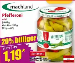 Norma Pfefferoni mild Angebot