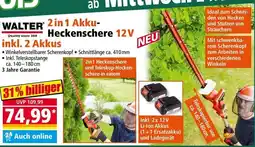 Norma Walter 2 in 1 Akku- Heckenschere 12V Angebot