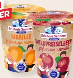 MPreis Erlebnis Sennerei Zillertal Fruchtjoghurt Angebot