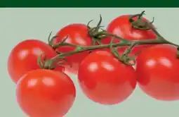 MPreis LGV Cherrytomaten Angebot