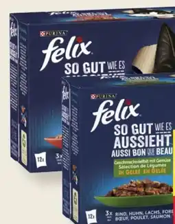 MPreis Purina Felix Katzenfutter Angebot
