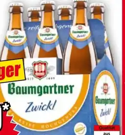Norma Baumgartner Zwickl Angebot