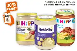 Müller Hipp oder bebivita Angebot