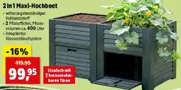 Thomas Philipps 2 in 1 Maxi-Hochbeet Angebot