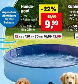 Thomas Philipps Hunde- pool Angebot
