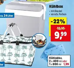 Thomas Philipps Kühlbox Angebot