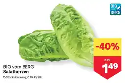 MPreis Bio vom berg salatherzen Angebot