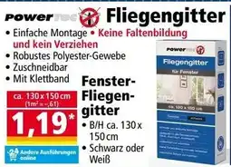 Norma Fliegengitter Angebot