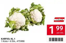 Transgourmet Karfiol kl.1 Angebot
