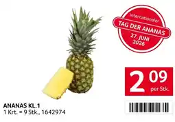 Transgourmet Ananas kl.1 Angebot