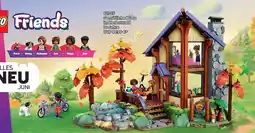 Lego 42705 Gemütliche Hütte im Herbstwald 9+ Jahre Angebot