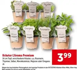 Interspar Kräuter l'aroma premium Angebot