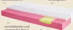 XXXLutz Physiosleep Kaltschaummatratze Angebot