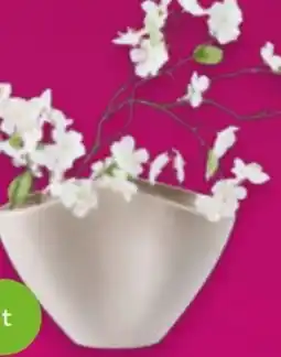 Mömax Premium Living Vase Cashmere Angebot