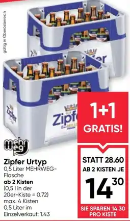 Maximarkt Zipfer Urtyp Angebot